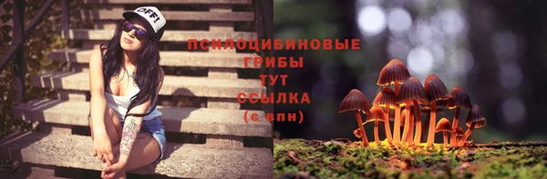 2c-b Куйбышев