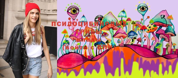 2c-b Куйбышев