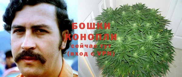 стаф Кулебаки