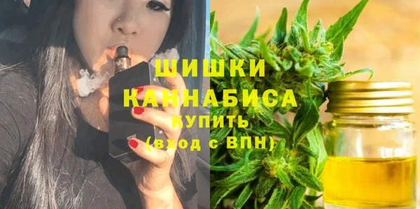 стаф Кулебаки