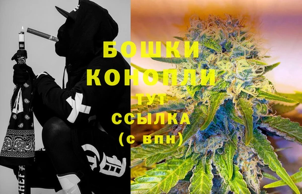 стаф Кулебаки