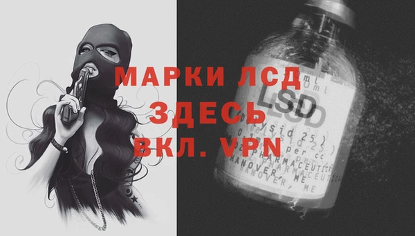 стаф Кулебаки