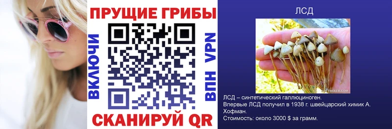 Псилоцибиновые грибы прущие грибы где найти наркотики Тотьма